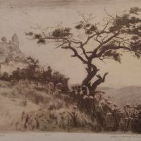 Boldogkővár (1950-es évek / 1950s)